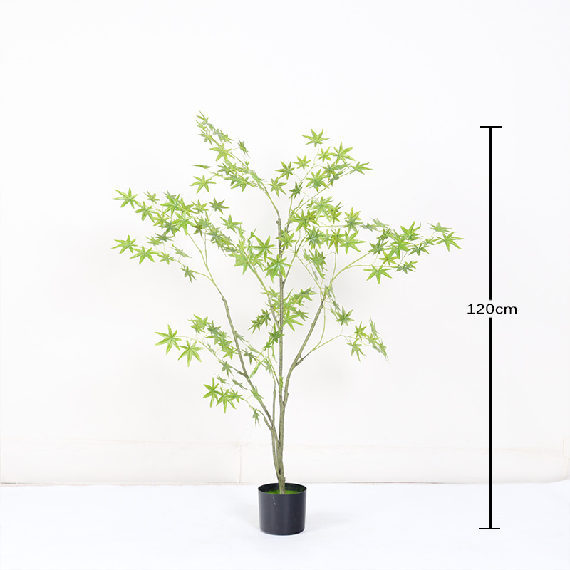 Mini planta en maceta de hoja de arce verde encriptada 120cm (con maceta negra)