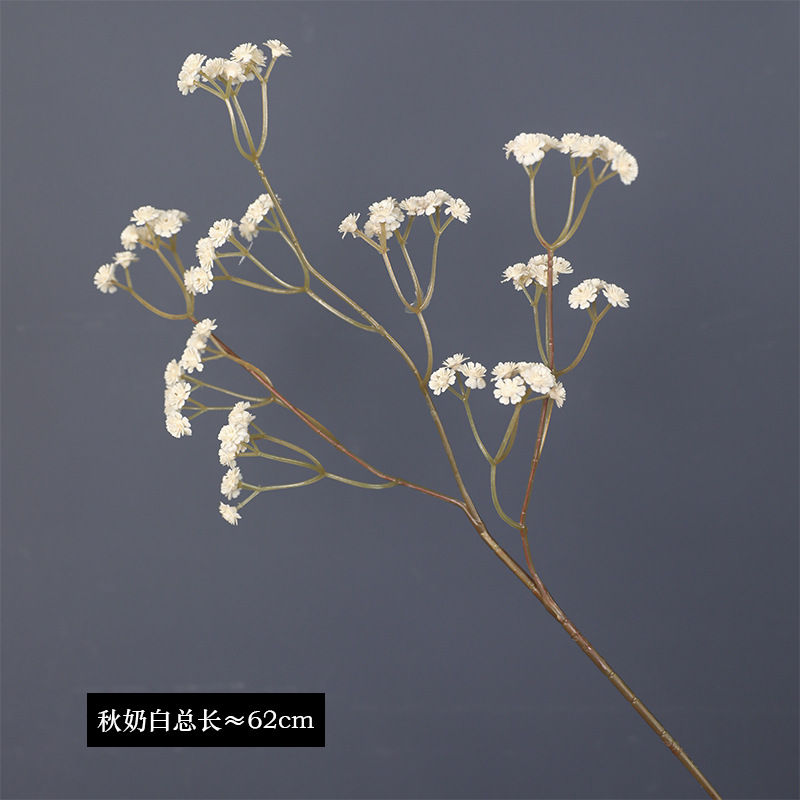 가을 밀크 화이트