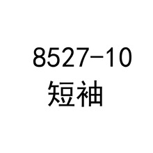 中老年女装裙子大码新款连衣裙春夏印花网纱修身长袖妈妈装中长裙