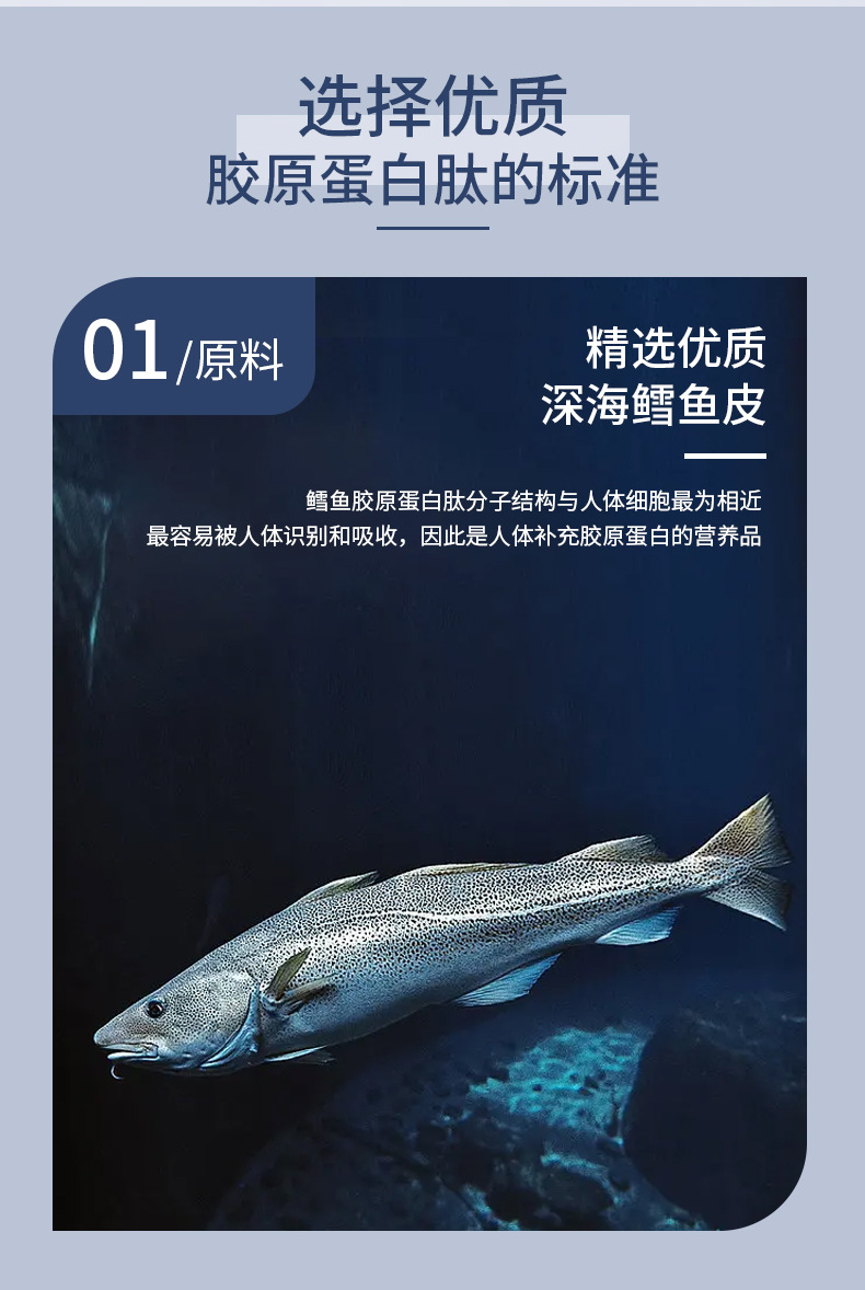 鳕鱼胶原蛋白肽(新)2_04