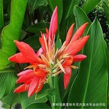 ���˽��������ԾGֲͥԺֲ���̨���@ͥԺˮ���^����ļ��_���Gֲ