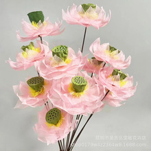 叶脉花干花 莲蓬荷花家居花束装饰生日礼物云南永生花工厂直发
