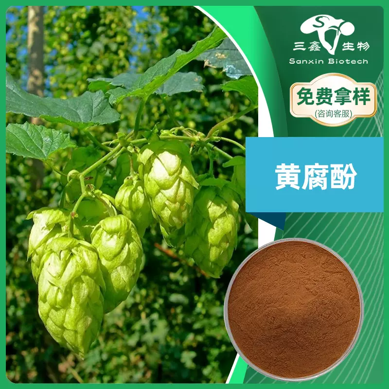 啤酒花黄酮5%黄腐酚植物蛇麻花天然提取物粉末食品级添加剂原料