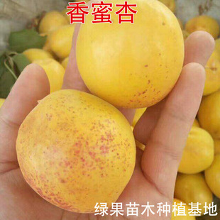 �Ә��� ���m������ �Ә��� ������� �������� �޽������������