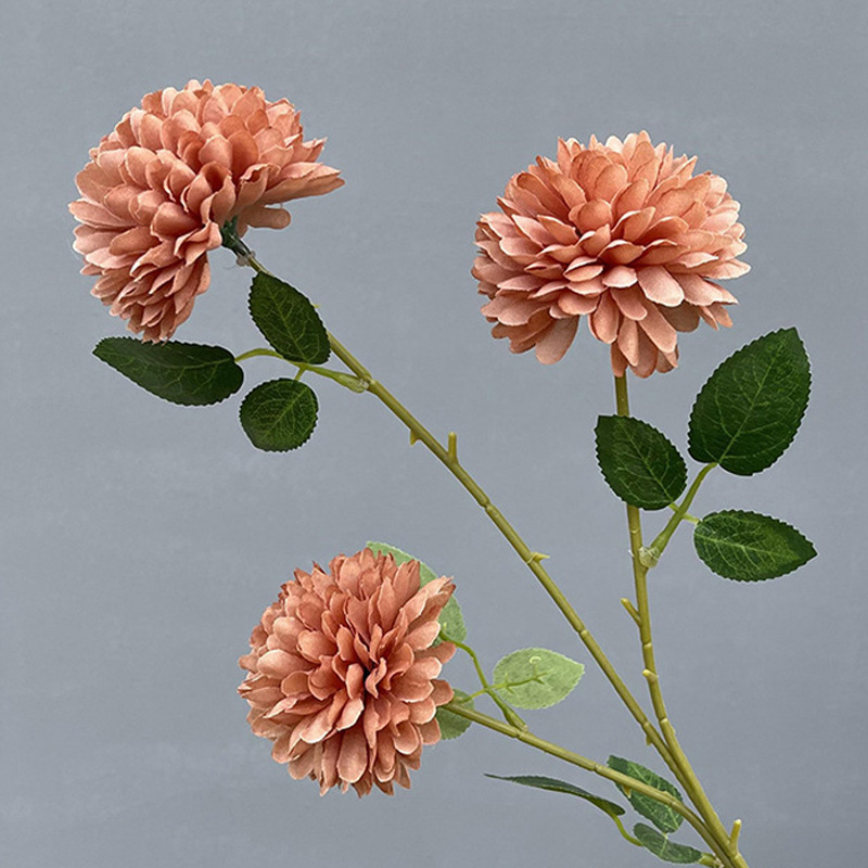 3 fork dandelion Brown