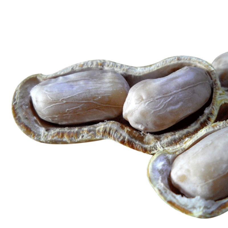 Longyan Shell вареный белый соленый сушеный чеснок со специями хрустящий арахис 500 г в пакете закуска орех специальности оптом