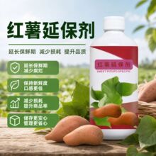 红薯宝宝红薯控旺膨大素番薯叶面肥增产药控制藤蔓旺长根茎膨大剂