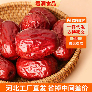 �½������ˮϴ�E�������� ���b���Ӹɗ���ϴ�����t��