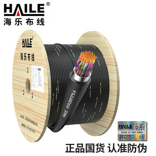 HYA-200*2*0.4����200���󌦔����|�Ԓ����Ԓ�Z��ͨ�ž��|100��
