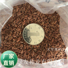 批发多年生宿根天竺葵花种子洋绣球花盆栽四季播种花卉香草种子