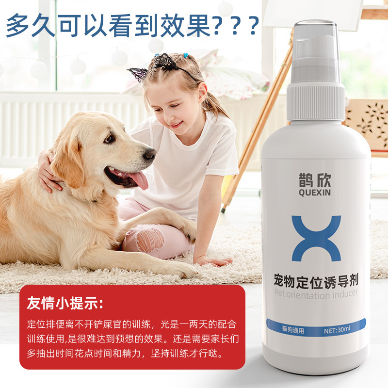 ペットの位置付けの排便誘導剤の犬はトイレの大きさを訓練します。|undefined