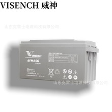 VISION������늳�6-FM-65 �U����S�o�����ƿ UPSӋ��C��������