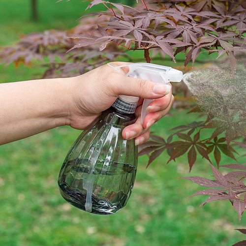 新款喷壶园艺花卉小喷壶浇花壶喷雾壶家用手压式喷水84消毒水喷瓶