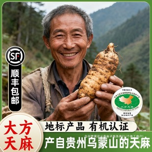 ����Sֱ�l���F�ݴ����r�������·�Ұ���F�ڬF�l�����С�݉���