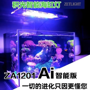 �e��1201AIɺ���� ��ˮ���ճ����亣 led��A�� ����� ��ן�