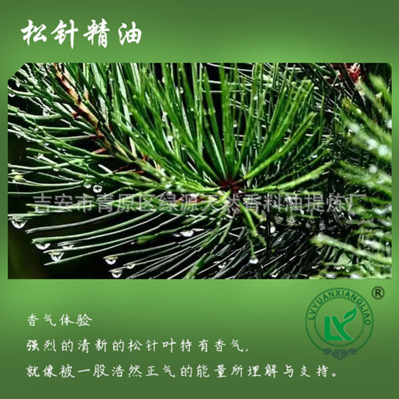 松针精油pine needle 净化防臭香薰松叶松树油植物香料蚊香液