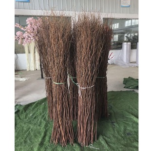 ������֦�r֦������֦��ɣ���P������������b��B����c���T����