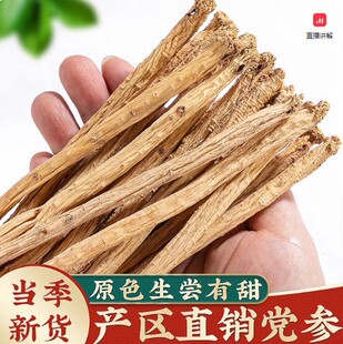 �h�������Cếh�h����؛�����h�����h���o���h����؛�����S�ή��w