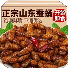 香酥蚕蛹开袋即食油炸五香小蚕蛹麻辣下酒菜山东特色小吃熟食批发