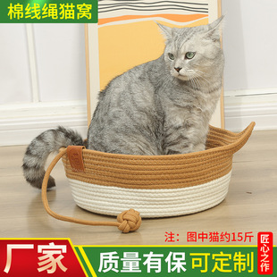 Pet Cat West Rattan Cat Wo Cao Cao Cat Catched Board Teddy West Landmark Summer Cold Corn Make Make