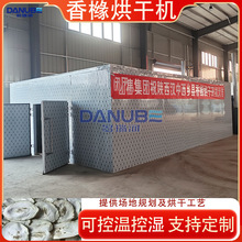 �㙴��əC ��ș�ۙ��h�������ݘ��㙴���ۙ�����C �ך�����O��