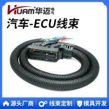 新能源电动汽车电脑板插头线束89孔潍柴雷诺ECUEDC改装连接器线束