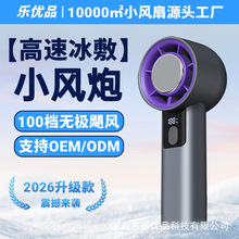 2026�ֳָ���С���Ȱ뵼����������ֳ�С���ȱ�Яʽusb������