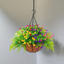 ֲ�ﻨ�ټ�Ҭ�ص��@���_�m�������҃�����@�ڒ�Gֲ