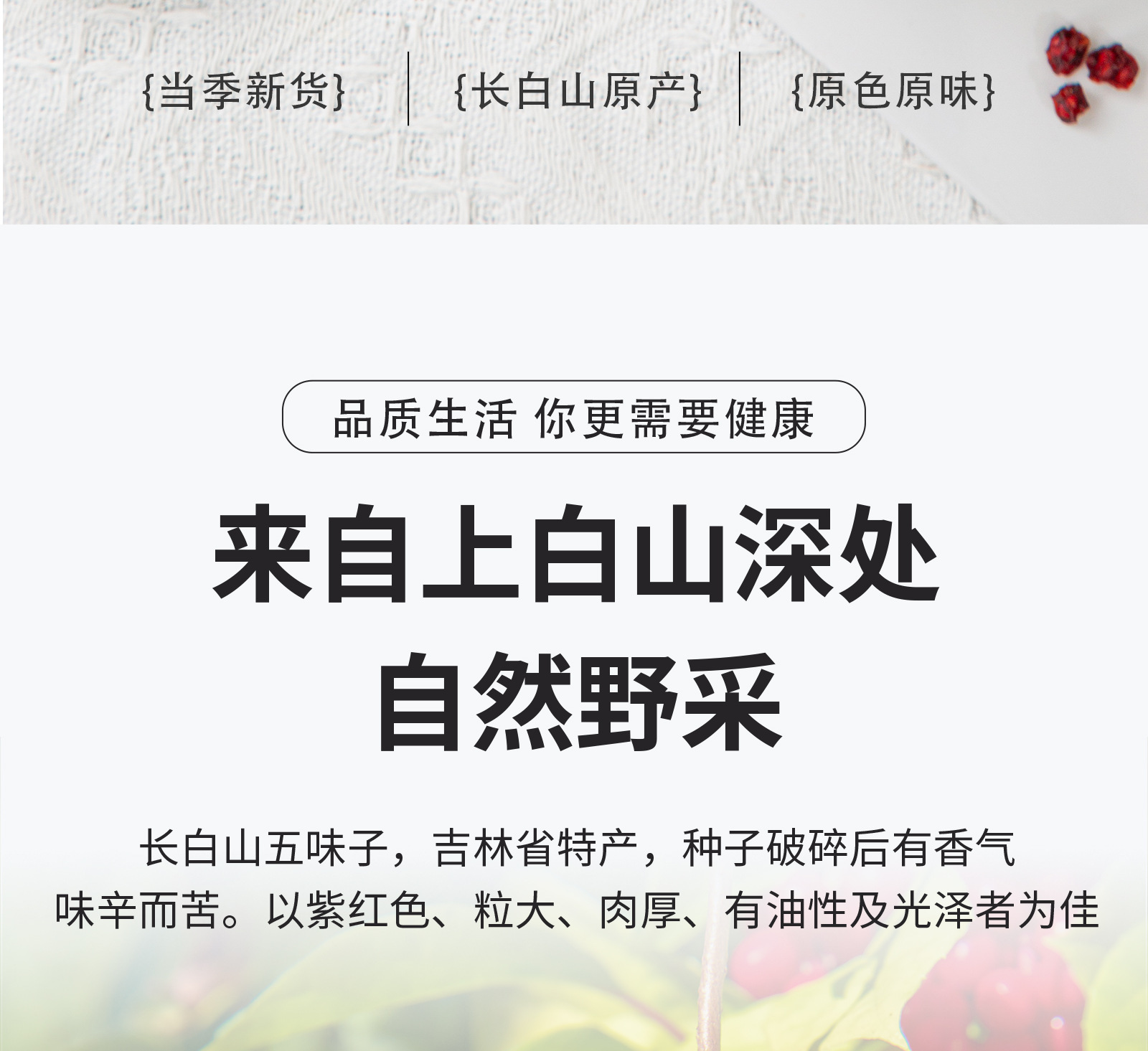Premium Changbai Mountain Schisandra Berries Wu Wei Zi Dried Whole Fruit 500g overview
