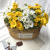 Realistic lifelike white chamomile flower-shaped, props, jewelry, bouquet