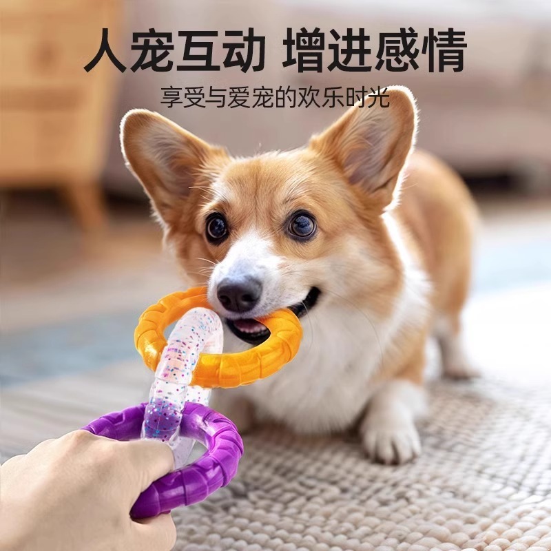 犬の抜河玩具子犬の歯ぎしり|undefined