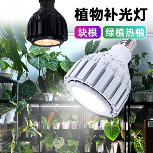 ֲ����E7�۹���ݼ��������m�K���Gֲȫ��LEDֲ�����L��
