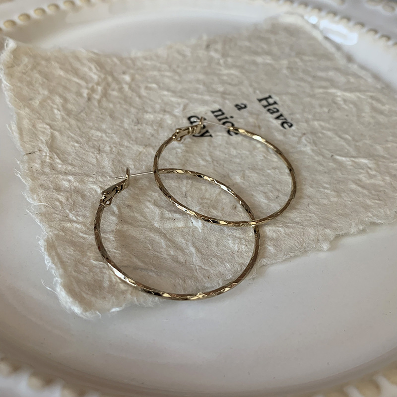 S925 Silver Needle Metal Minimalist Hoop Fashion Earrings Trendy Simple Cold Style Coffee Gold Earrings for Women 487
