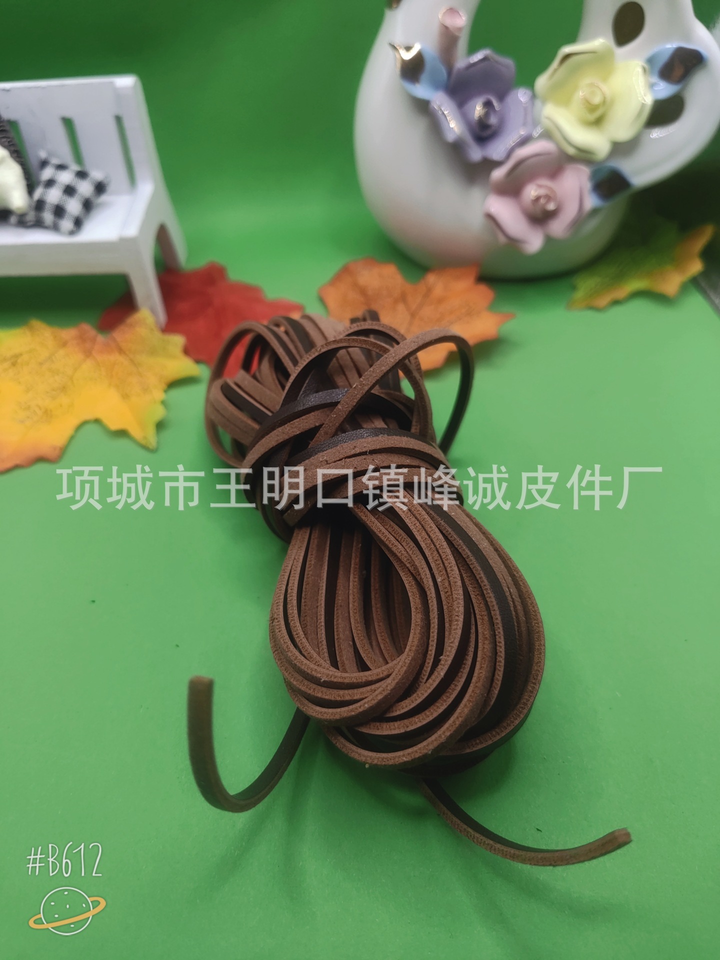 B612Kaji_20240119_203743_380