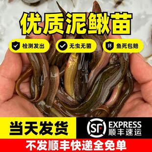 ̨��С���q�籾�����q�|�����qˮ���r���Bֳ��ˮ�������~���