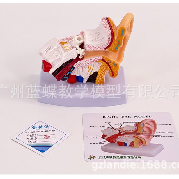 1.5���Ŵ������Ͷ�����ģ�������ڶ�������ϵͳ���ٶ��乹���ѧ