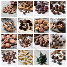 �ɻ����l����Ƭ�ɻ��L���ɹ����ɻ�С���»�����޹DIY������
