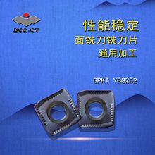 ZCCCTʯ㊵Ƭ/㊵ƬSPMTϵ /YBC301/SPMT120408/-PM