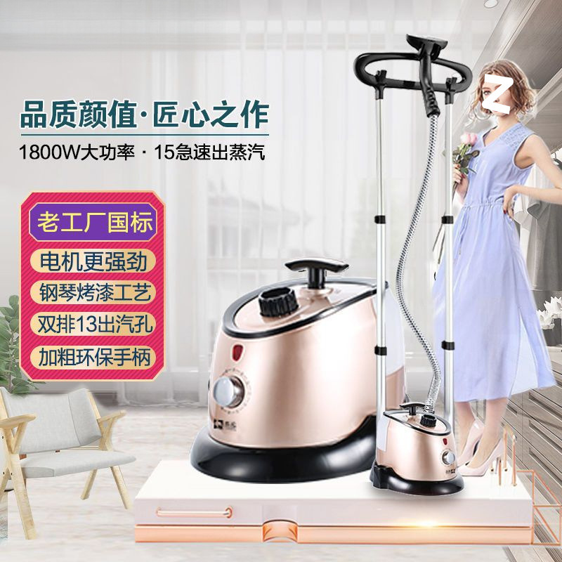 Household Double-Pole Vertical Garment Steamer Steam Iron Ironing Machine Hanging Ironing Machine High Power One Piece Free Shipping