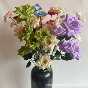 6�^�Nޱõ���Y�ٻ���c�b��ֹ���Ʒ�҃ȼҾӔ[�����滨���ϻ�