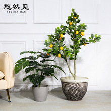 ��ȻҊ����Ҿӿ͏d�b[����ͥ�@ˇ��ڏ��Gɫֲ�����Ԙ�֬����