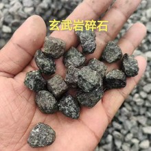 ������������ʯ���B������������ʯ���F·��OͥԺ�@���·