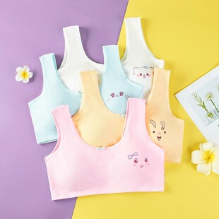 E 75255 Cotton Teenage Girls Underwear ��Ů�l������ �羳���l