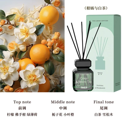 odor eliminator, living room — Car Perfume Aromatherapy - citrus-white-tea