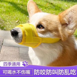 Dog Muzzle, Anti-Biting, Anti-Barking, Drinkable, Anti-Eating Mask, Pet Anti-Barking Device, Golden Retriever Teddy, Small and Medium-Sized Muzzle