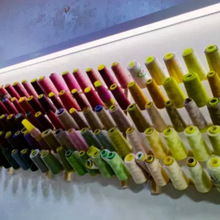 ���ܿp�x����ľ���Ӵ���ž������ռ{�񾀒쾀ë���ܿp�x��ľ����