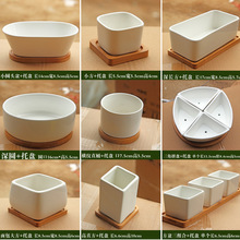 ⻨׎бPֲﻨմС״бP