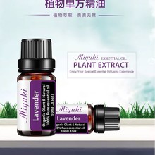 �½�����܊�F65�F��޹�²ݾ�����޹ֲ����޹�Cʹ��޹�²�������