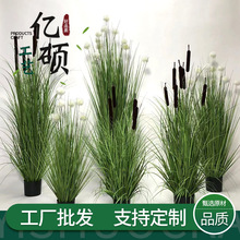 ���W���s�������[�ݰ��� �JȔ��β����Ȕ�ݻ�c�����bٻ����Q