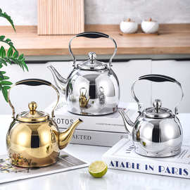 全钢不锈钢烧水壶开水壶teakettle小容量带网漏泡茶壶星球壶